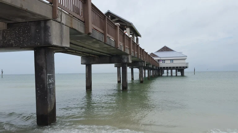 Water and shade beneath the Pier 60 structure